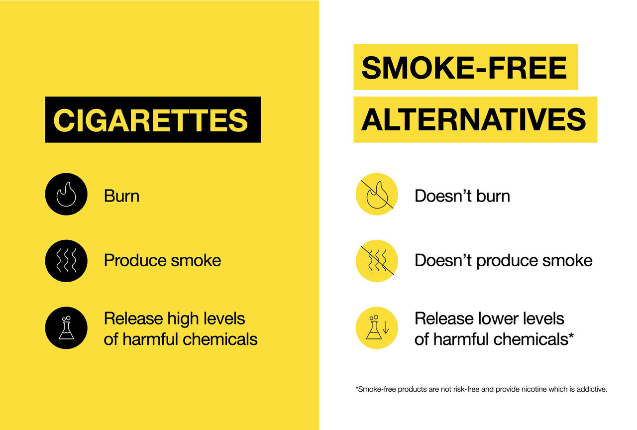 infographic